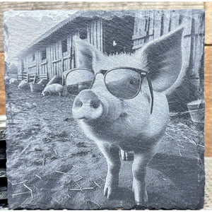 One Cool Piggy